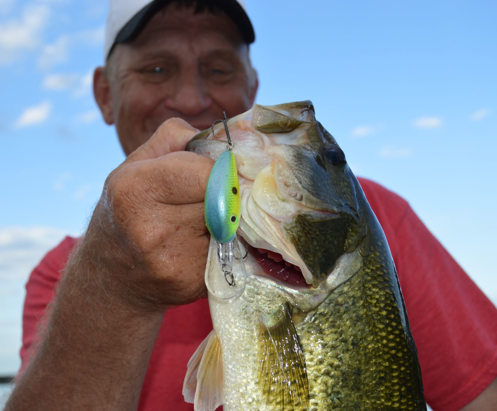 Largemouth bass